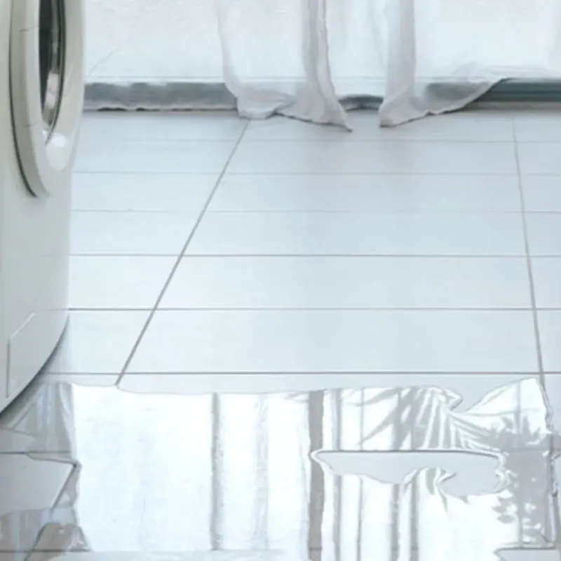 Appliance Leak Cleanup in Denver City, TX